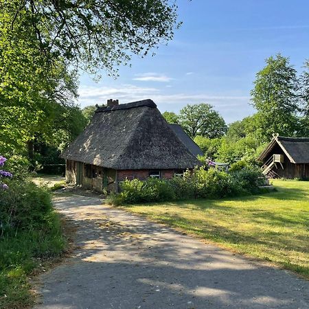 Heidehof Oberhaverbeck Villa Bispingen Eksteriør bilde