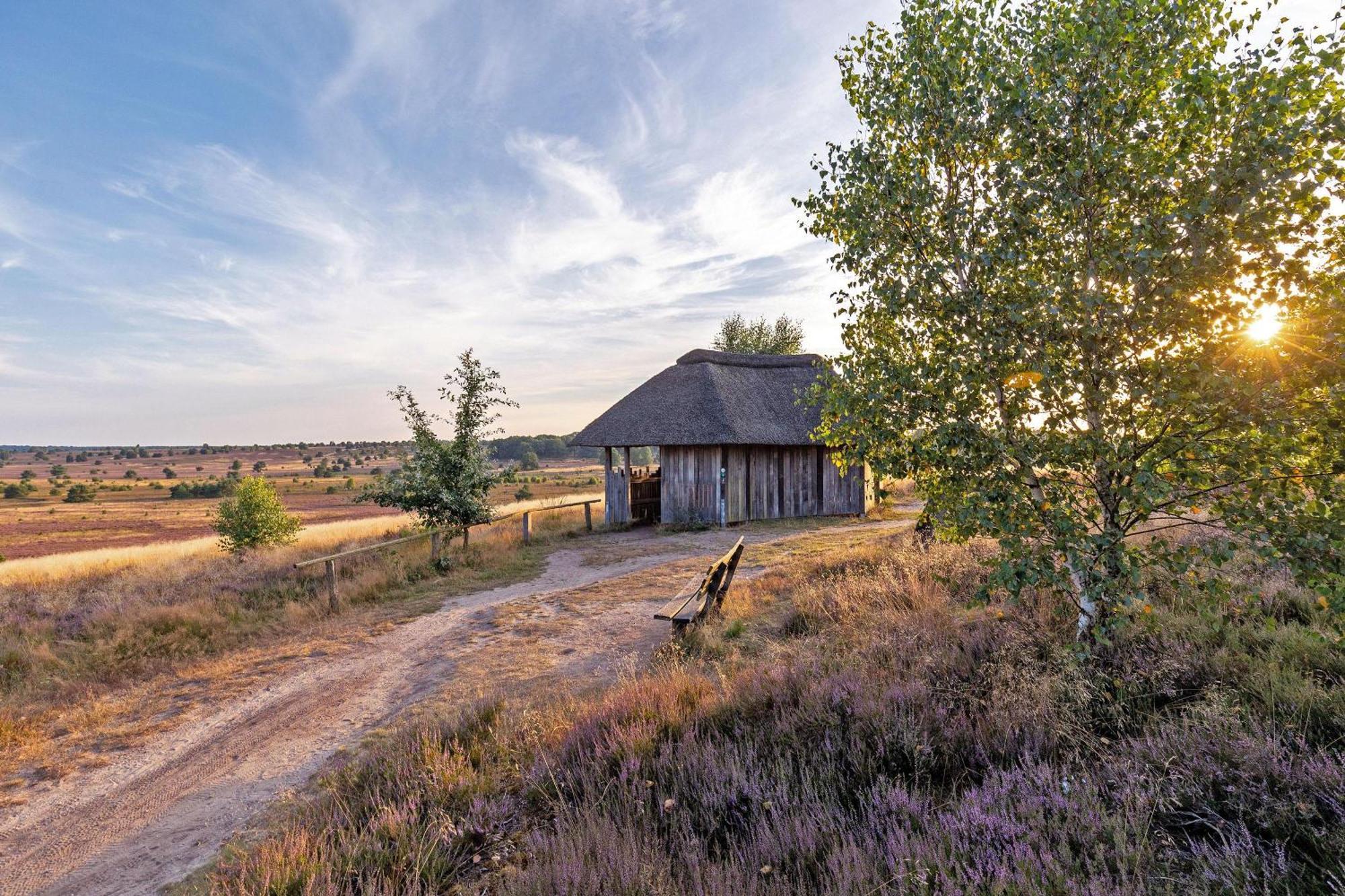 Heidehof Oberhaverbeck Villa Bispingen Eksteriør bilde