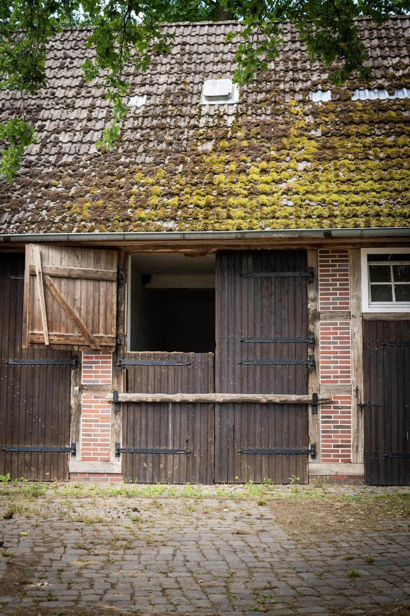 Heidehof Oberhaverbeck Villa Bispingen Eksteriør bilde