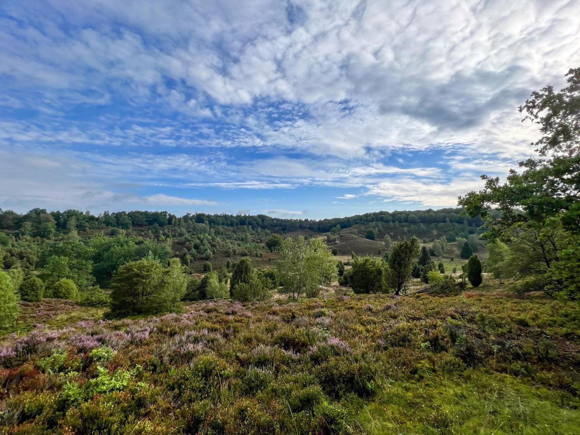 Heidehof Oberhaverbeck Villa Bispingen Eksteriør bilde