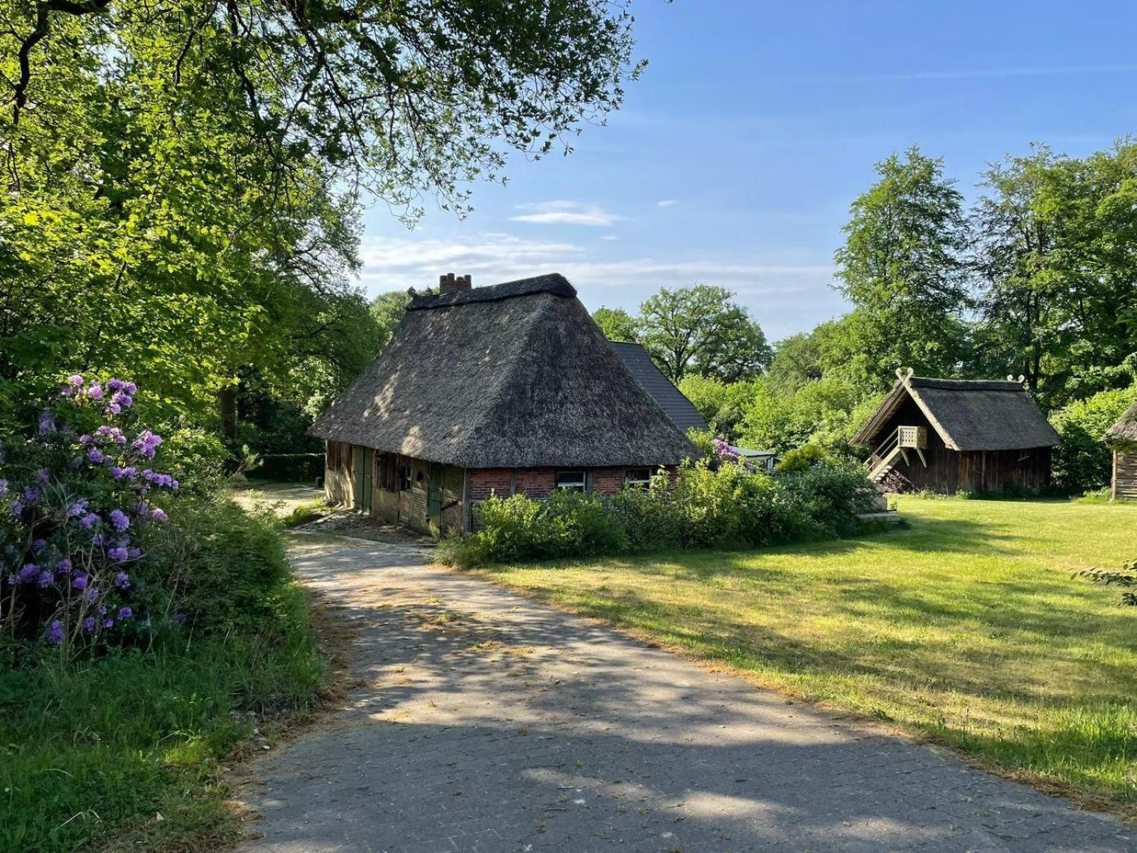 Heidehof Oberhaverbeck Villa Bispingen Eksteriør bilde
